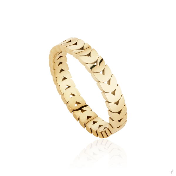 Ring Hassu 2