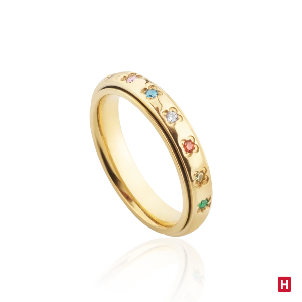 Ring Hassu 2
