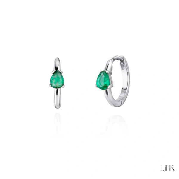 Brincos Link 1