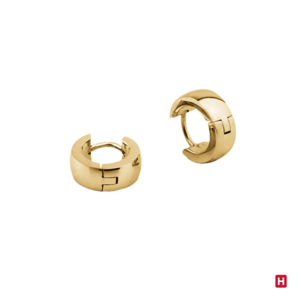 Hoops Earrings Hassu Glam Rock 1