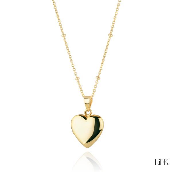Colar Link 1