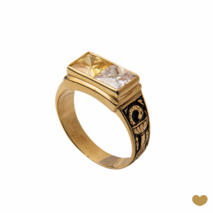 Anel de Curso Passion Gold 9k 1