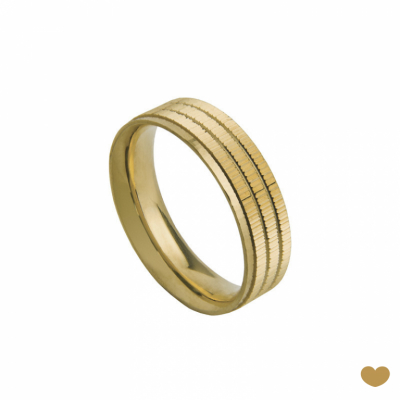 Aliança Passion Gold 19.2k - 5.5 mm 1