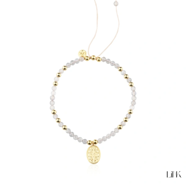 Pulseira Link 1
