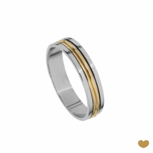 Aliança Passion Gold 19.2k - 4.2 mm 1