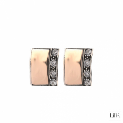 PENDIENTES PLATA 925/ORO9K-8 CIRCONITAS - CARAMELO 1