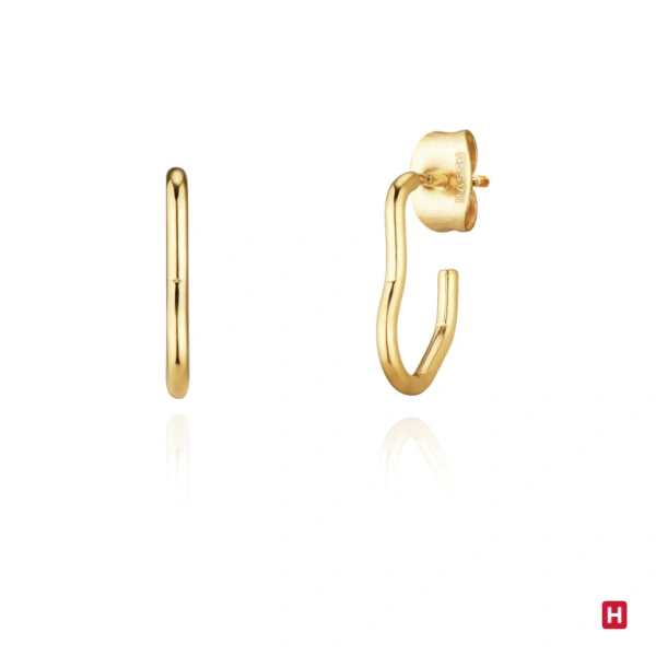PENDIENTES HASSU 1