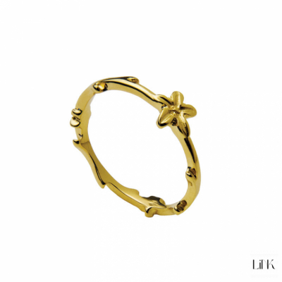 ANILLO LINK 1