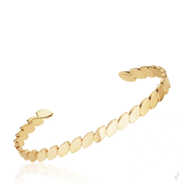 Bangle Hassu 1