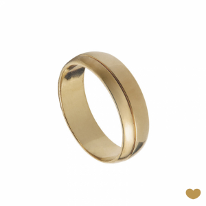 Aliança Passion Gold 19.2k - 6.3 mm 1