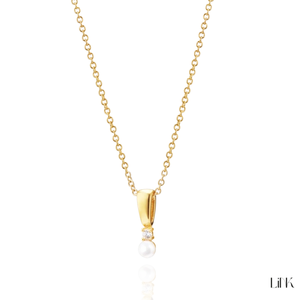 Colar Link 1