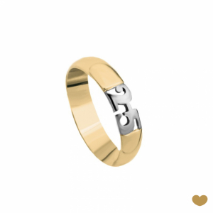 Aliança 25 Anos Passion Gold 9k 1