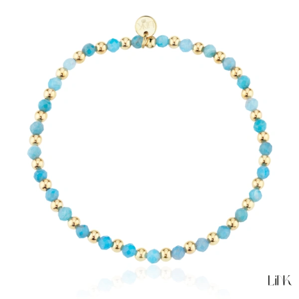 Pulseira Link 1