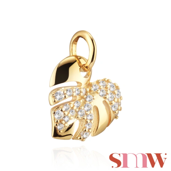 Charm SMW Folha 1