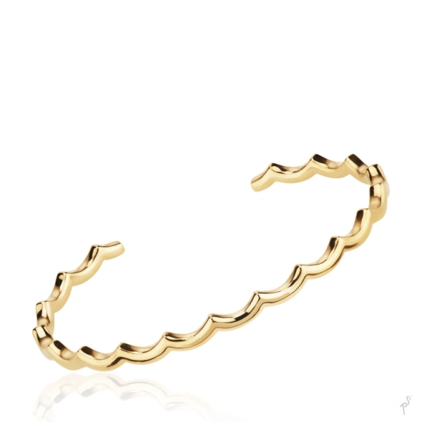 Bangle Hassu 1