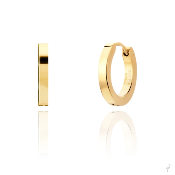 Hoop Earrings Hassu Golden 1