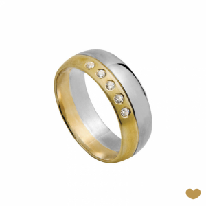 Aliança Passion Gold 19.2k - 6.5 mm 1