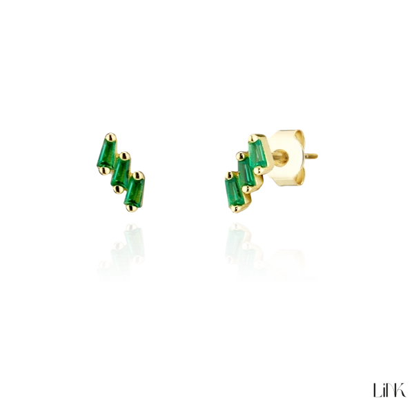 Brincos Link 2