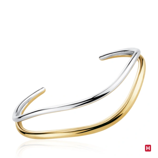 Bangle Hassu 1