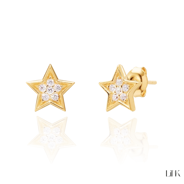 Brincos FA com Zircónias - Estrela 2