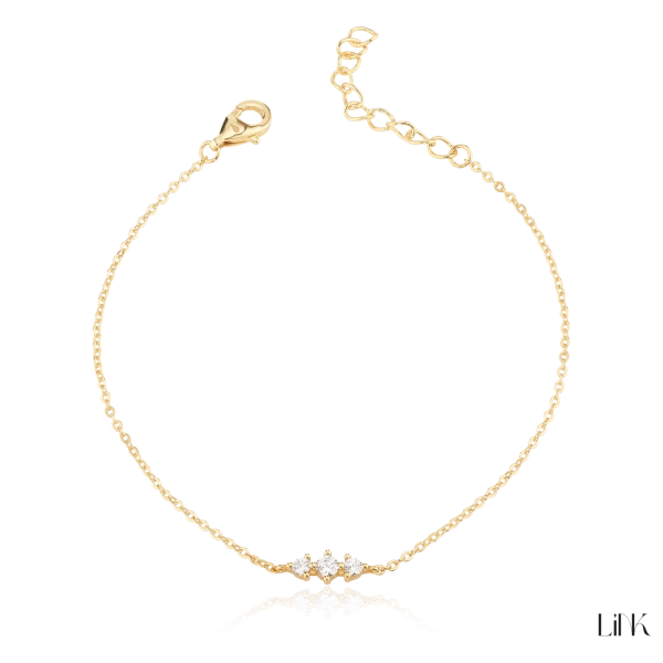 Pulseira Link 2