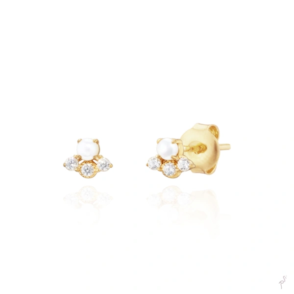 PENDIENTES LINK C/ CIRCONIAS 1