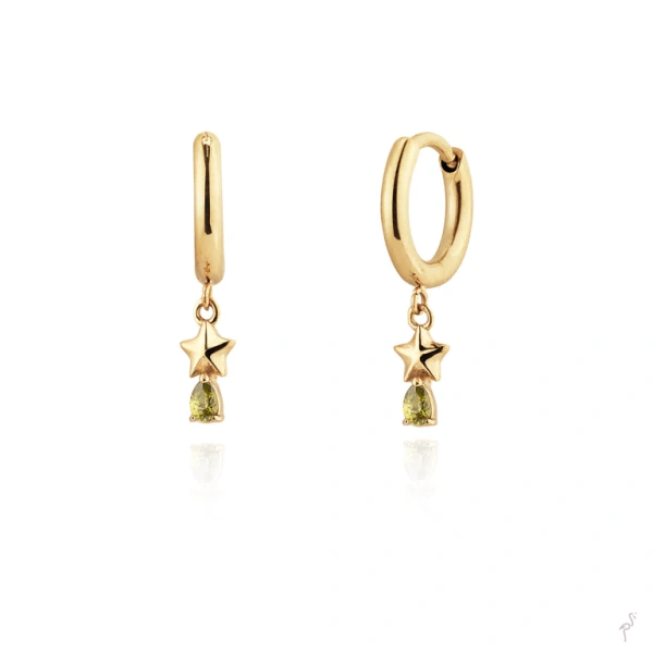 Earrings Hassu 1