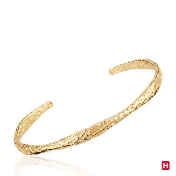 Bangle Hassu 2
