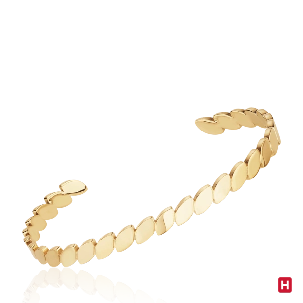 Bangle Hassu 2