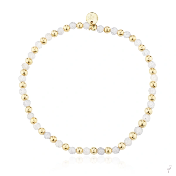 Pulseira Link 1