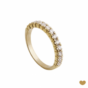 Anel Memória Passion Gold 19.2k 1