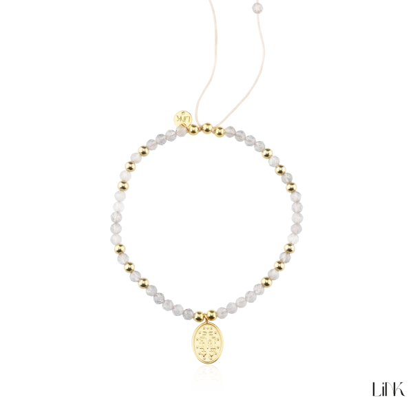 Pulseira Link 2