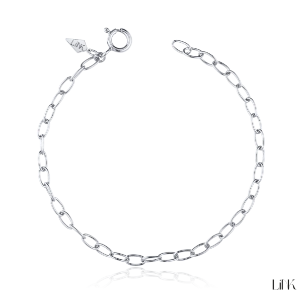 Pulseira Link 2