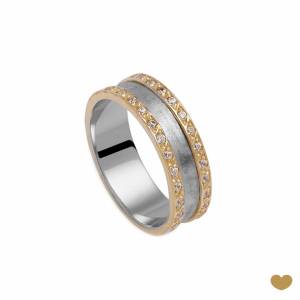 Aliança Passion Gold 19.2k - 6 mm 1
