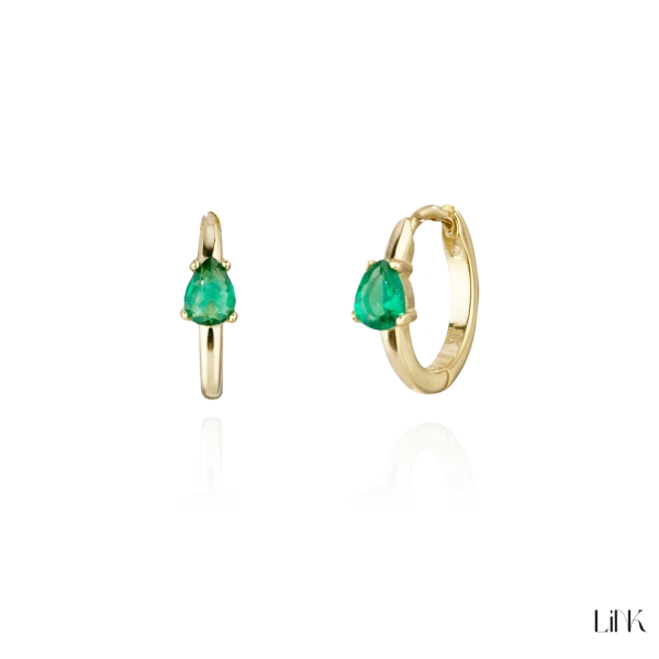 Brincos Link 2