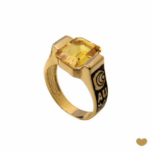 Anel de Curso Passion Gold 19.2k 1