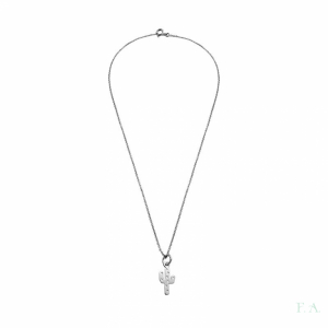 COLLAR CACTUS 1