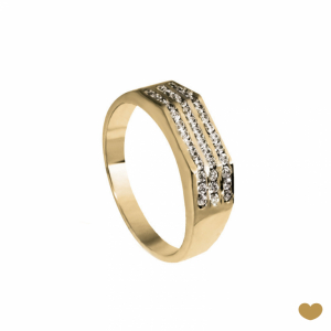 Anel Passion Gold 9k 1