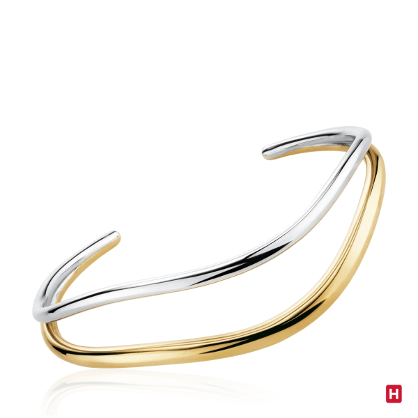 Bangle Hassu 2