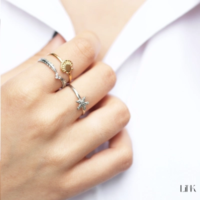 ANILLO LINK 2