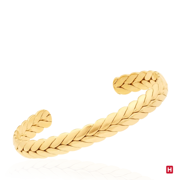 BANGLE HASSU 2