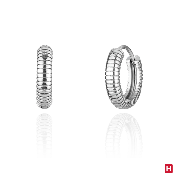 Earrings Hassu 2