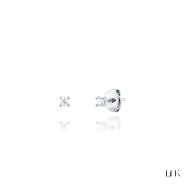 Brincos Link 1