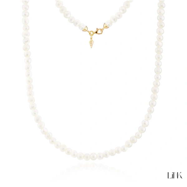 Colar Link 5