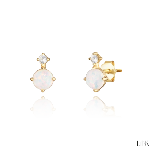 Earrings Link 2