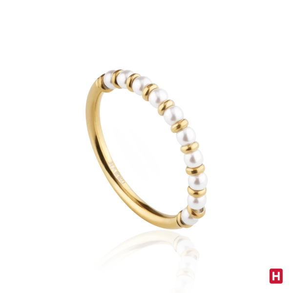 Ring Hassu 2