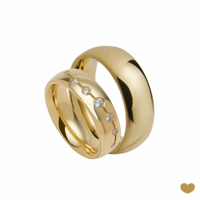 Aliança Passion Gold 19.2k - 6 mm 2
