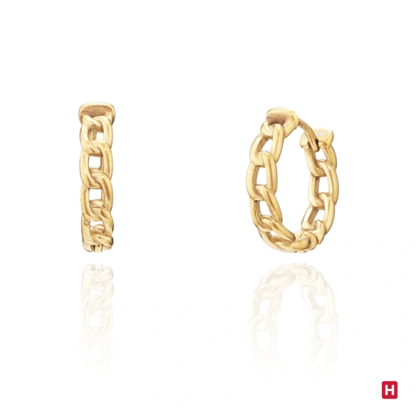 Hoops Earrings Hassu Golden 1