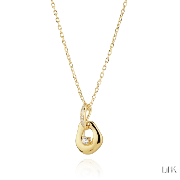 Colar Link 1