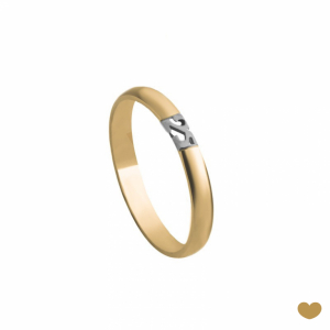 Aliança 25 Anos Passion Gold 19.2k 1
